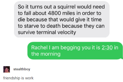 squirrels+can+survive+terminal+velocity