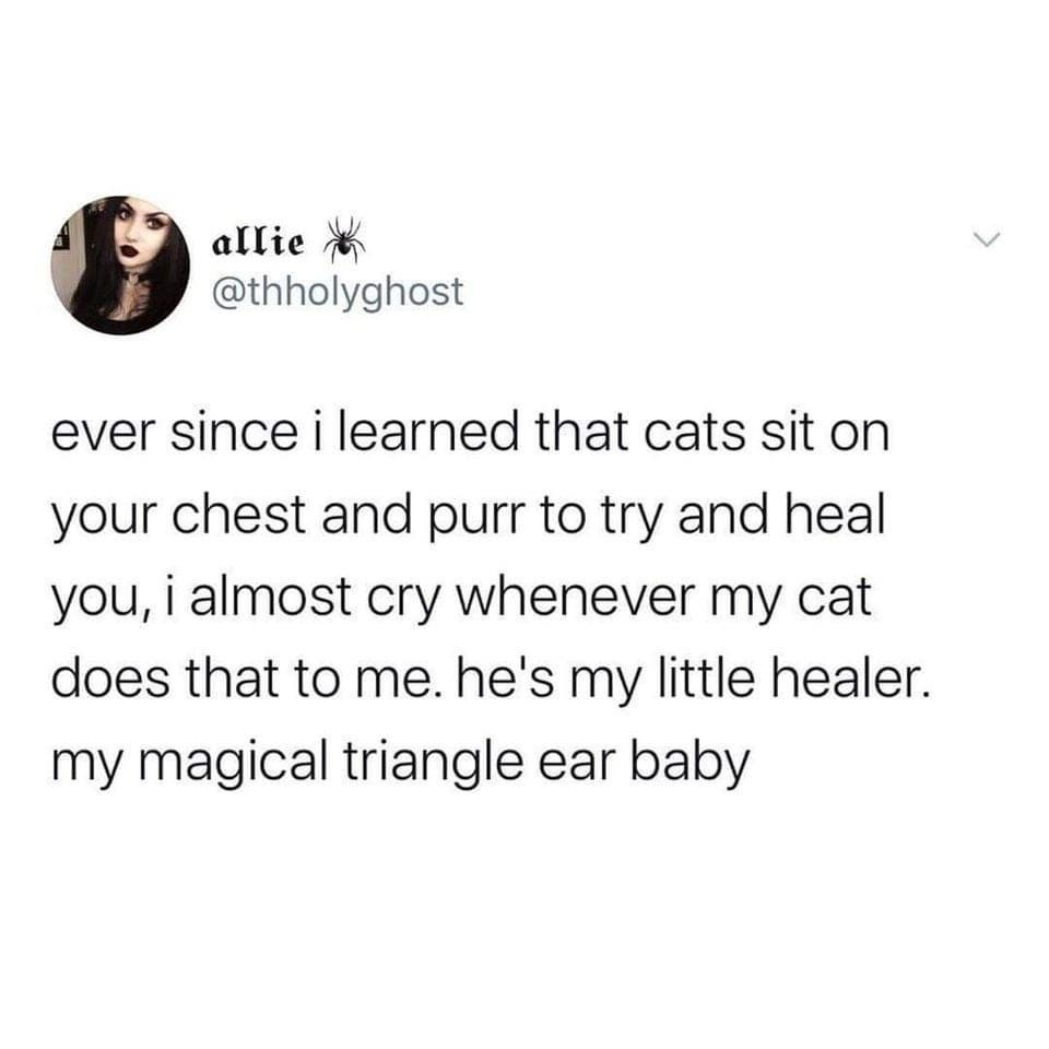 magic+healer