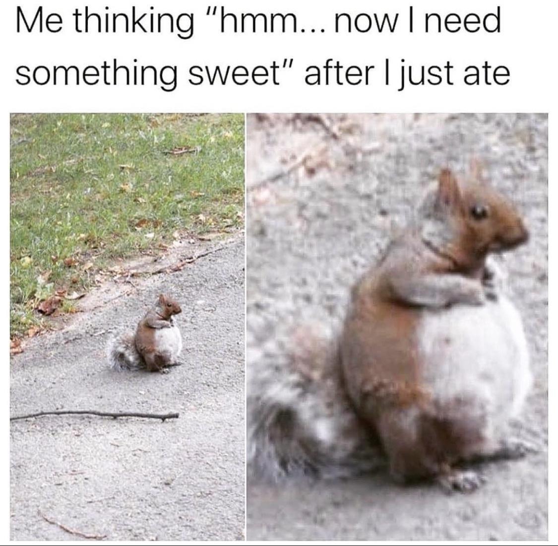 there%26%238217%3Bs+always+room+for+desert