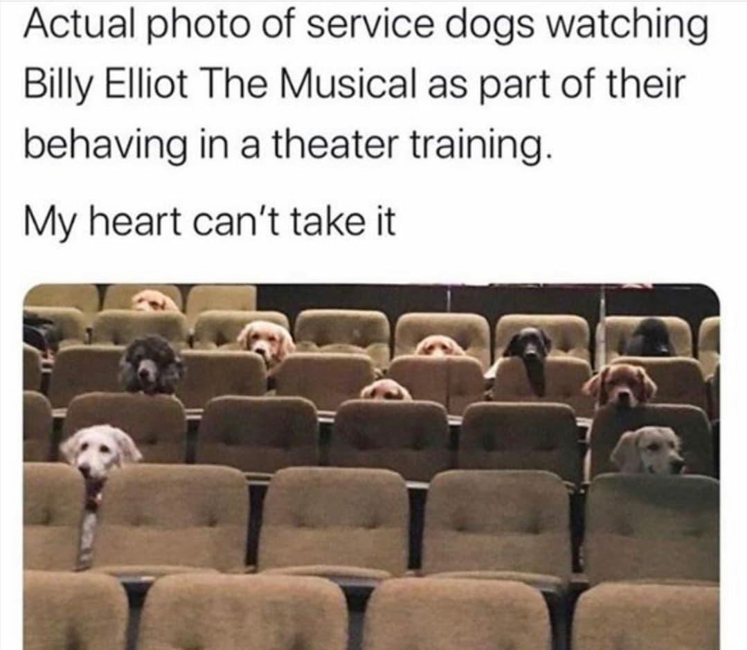 all+the+wholesomeness+in+one+photo