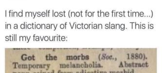 victorian+slang+at+its+finest