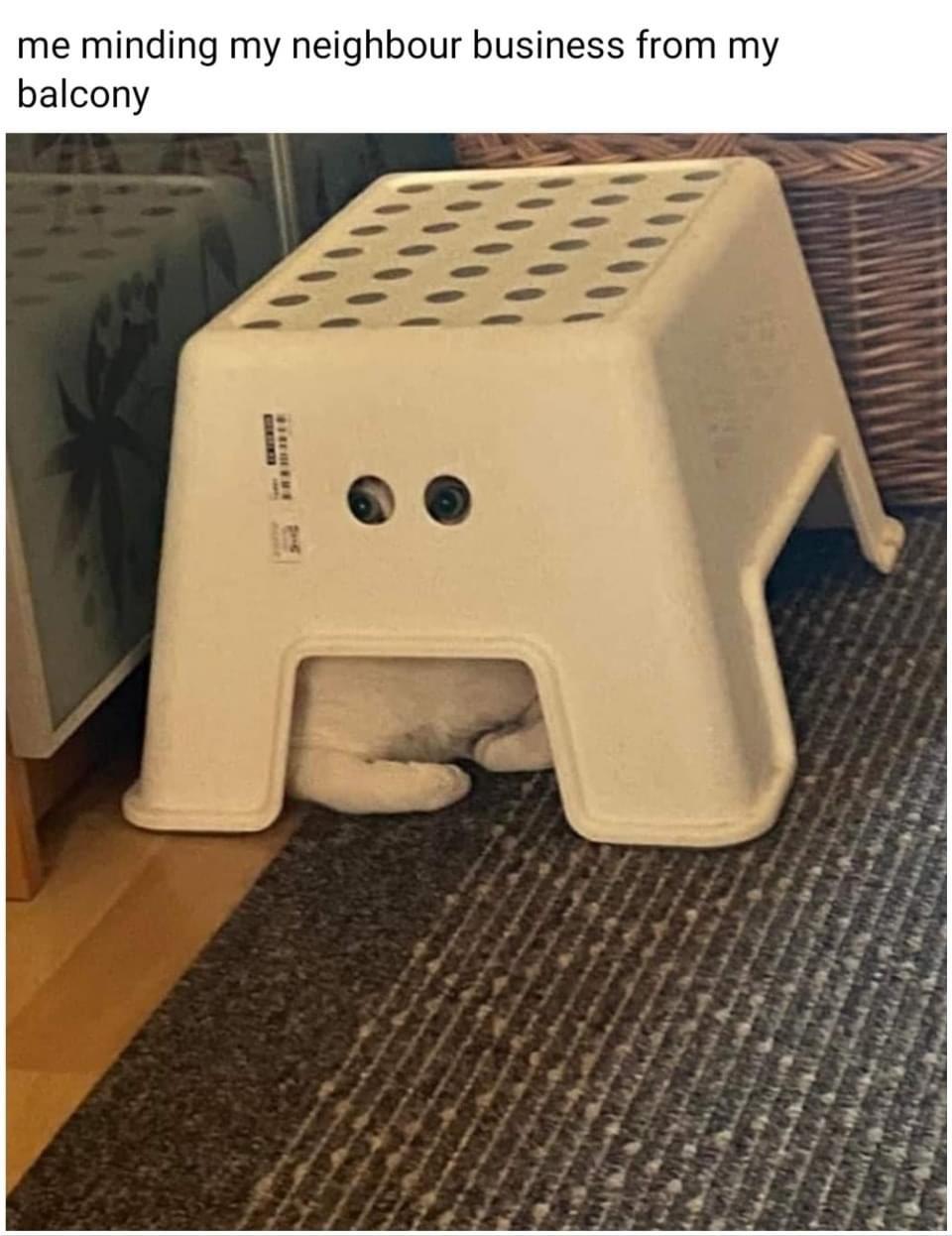 well+hidden+audience