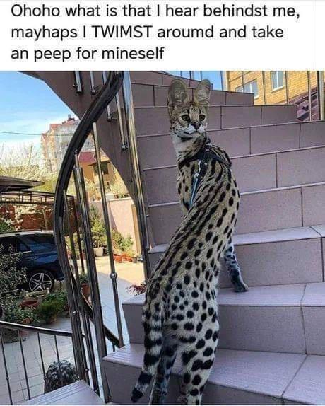 just+gonna+twimst+around