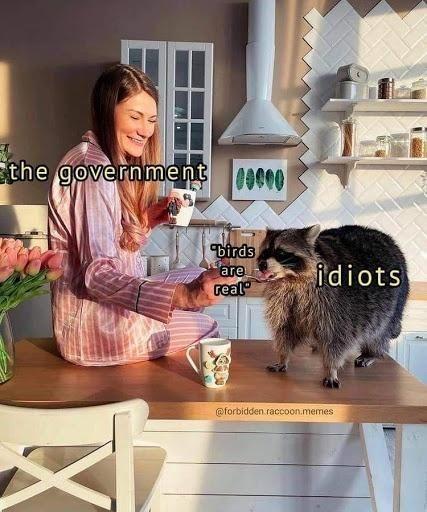 birds+aren%26%238217%3Bt+real