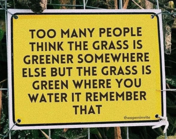 don%26%238217%3Bt+forget+to+water+the+grass