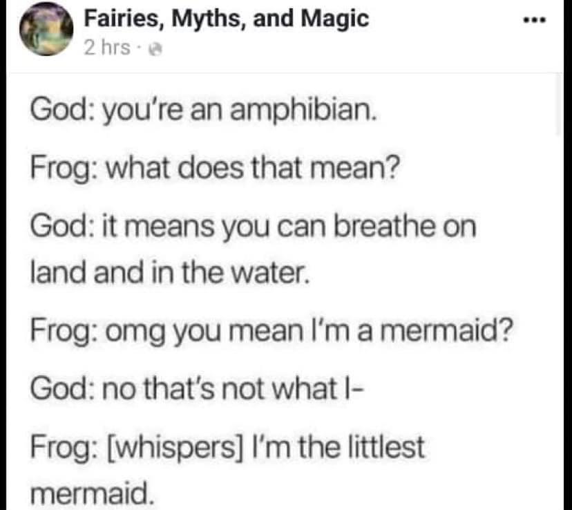 frogs+are+tiny+mermaids