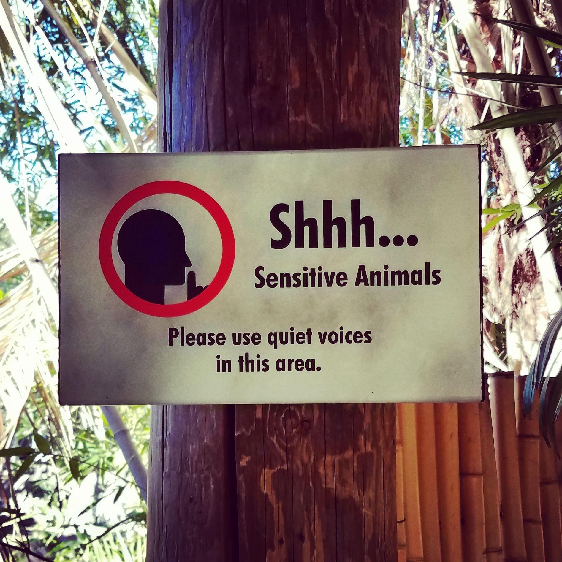 use+your+indoor+voice