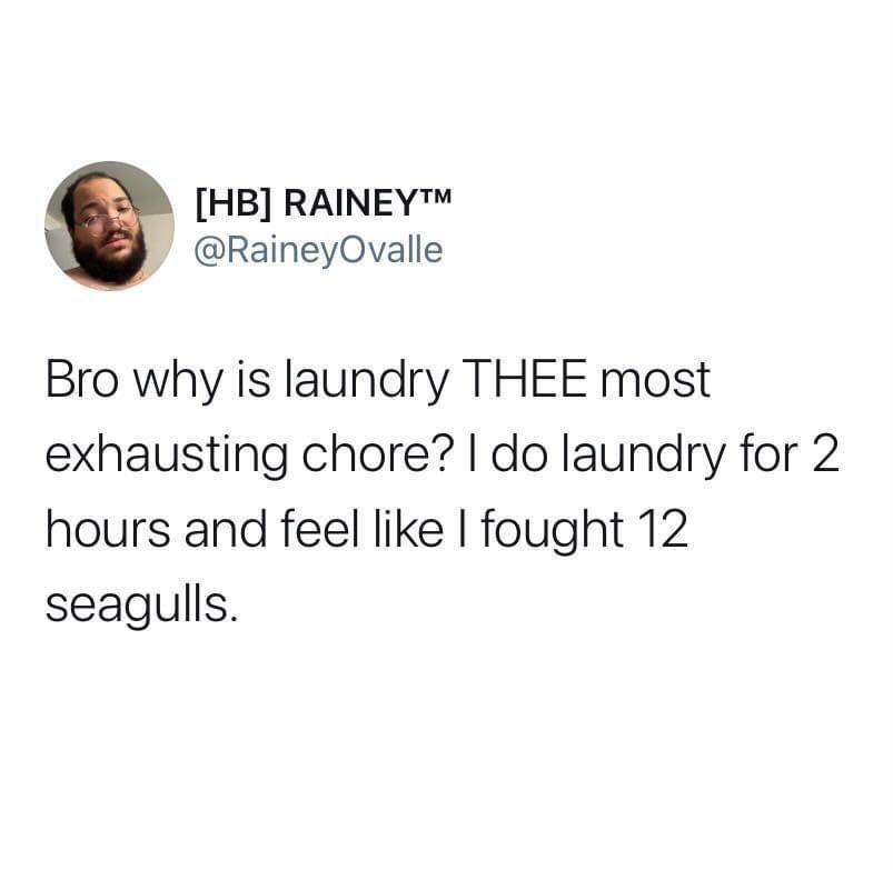 doing+laundry+is+the+same+as+fighting+birds