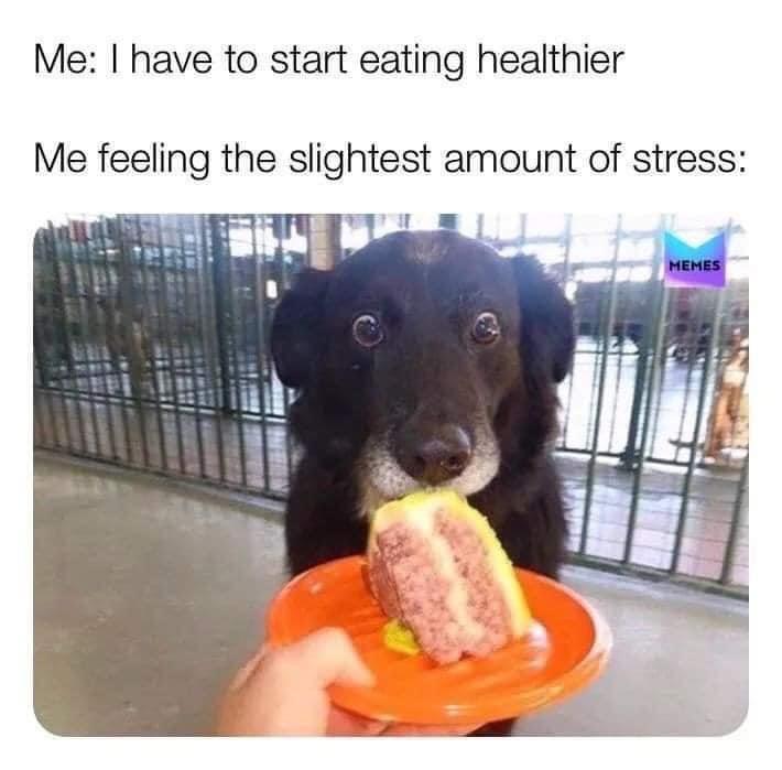 diet+starts+when+stress+stops