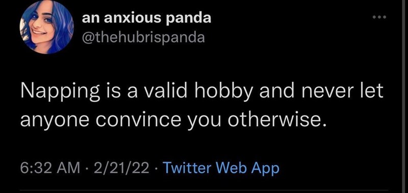 napping+is+more+than+a+hobby%2C+it%26%238217%3Bs+a+lifestyle