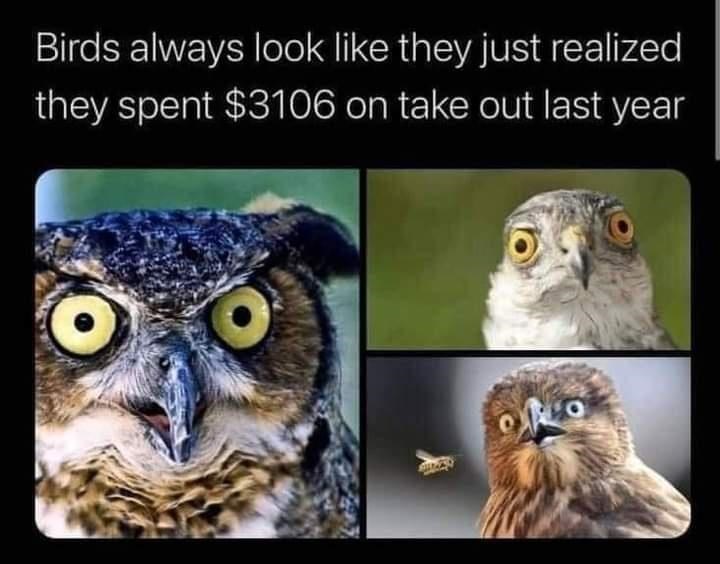 never+check+your+receipts