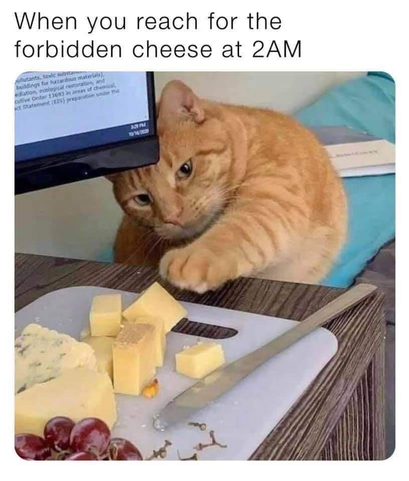 must+haz+the+cheese