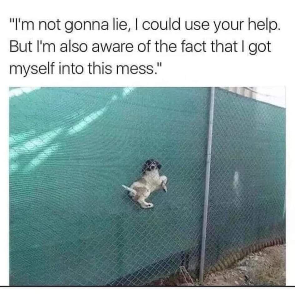 how+does+this+even+happen%3F