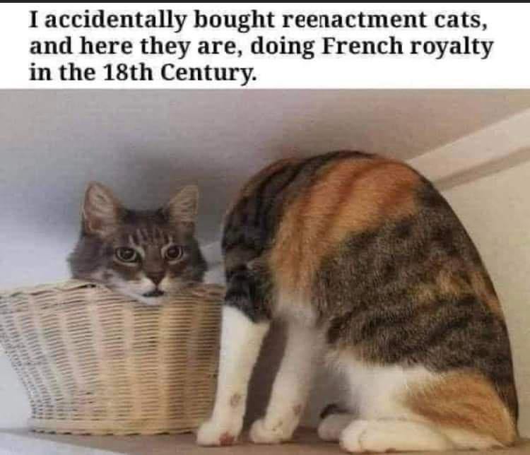 reenactment+cats