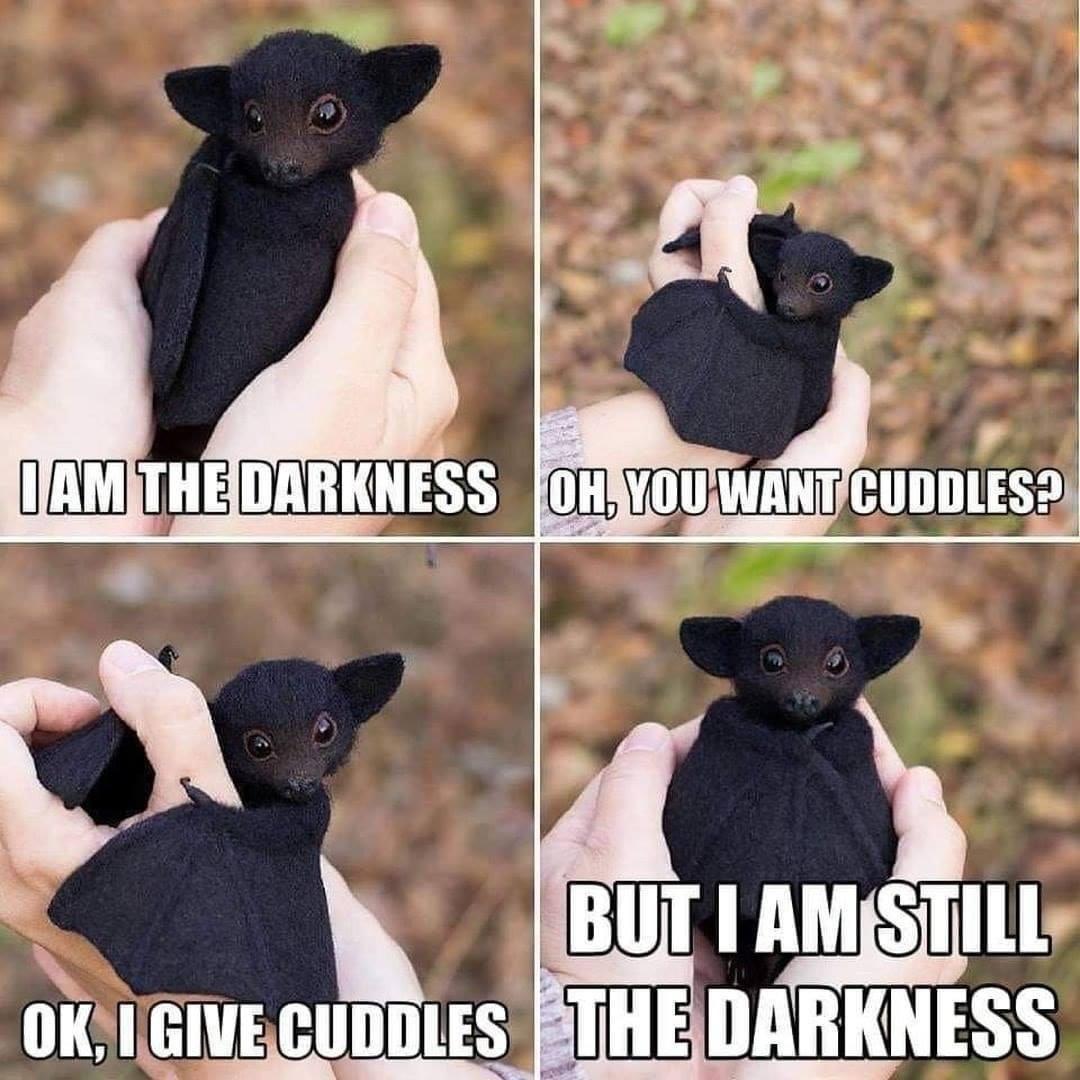 darkness+cuddles