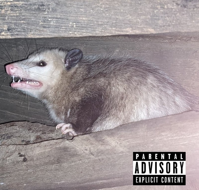 this+album+is+gonna+slap