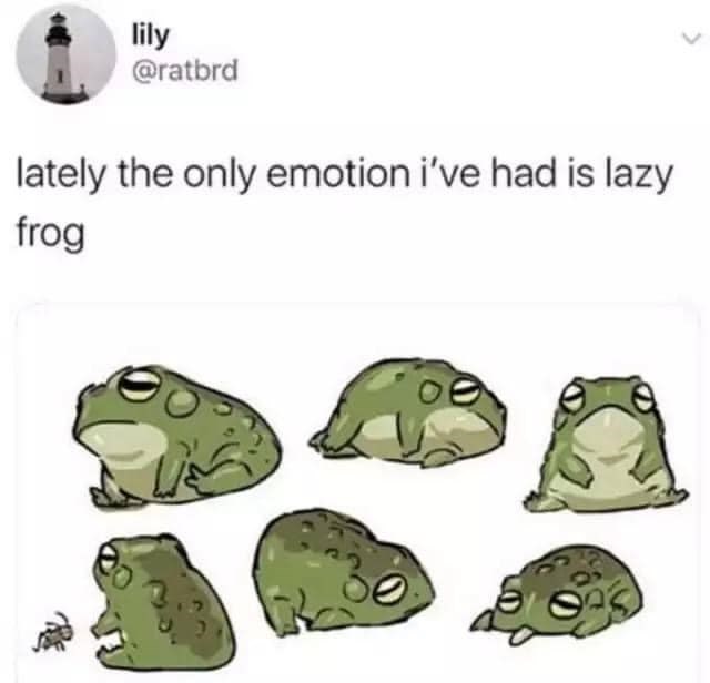 lazy+frog+energy