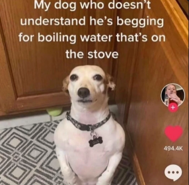 give+him+some+boiling+water%21