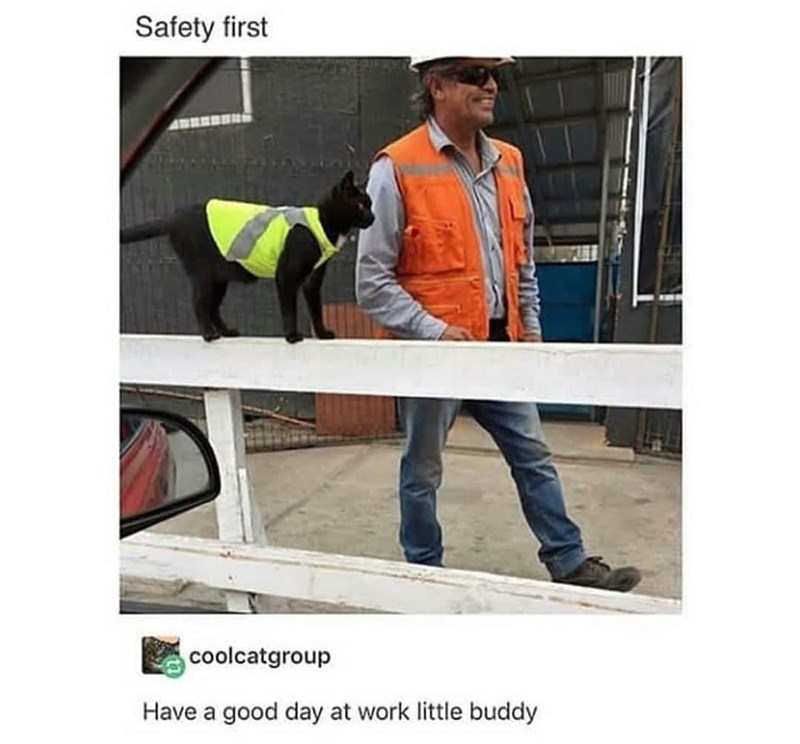 safety+first