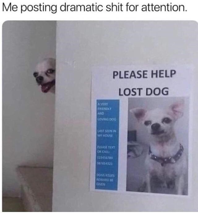 lost%2C+but+not+gone