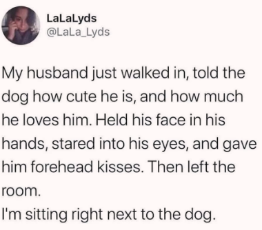 he+loves+the+dog+more+than+you