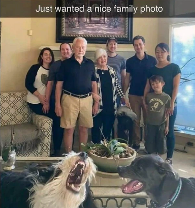 the+woke+up+and+chose+to+be+bad+bois