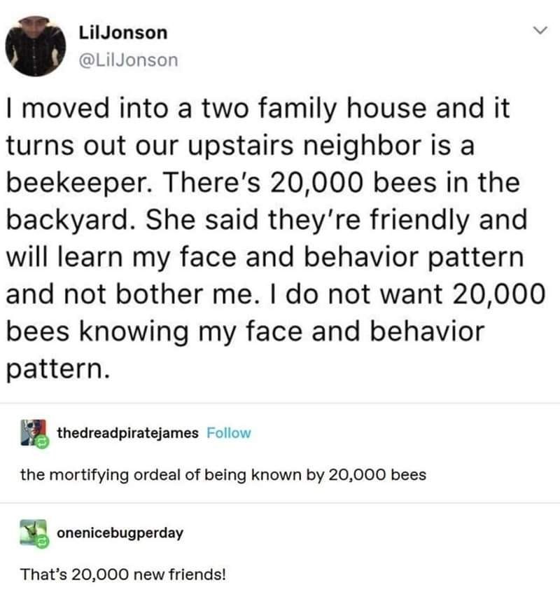 20%2C000+new+friends