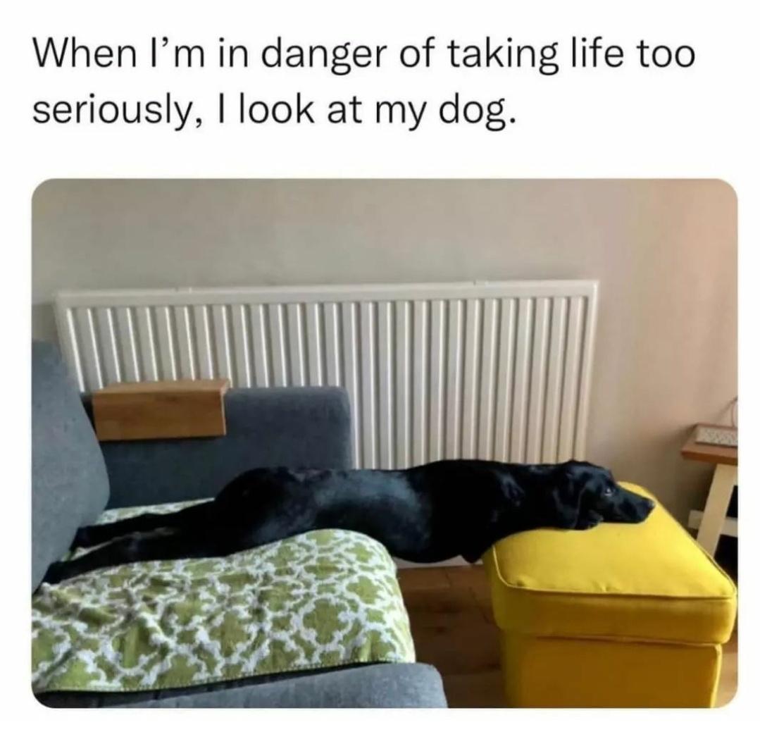 and+i%26%238217%3Bm+back