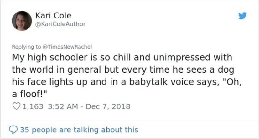 the+power+of+the+floof