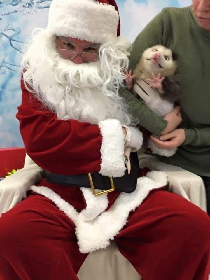 santa%21%21%21%21%21%21