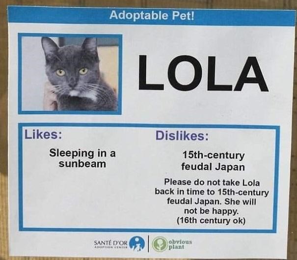 her+name+was+lola%2C+she+was+a+show+cat