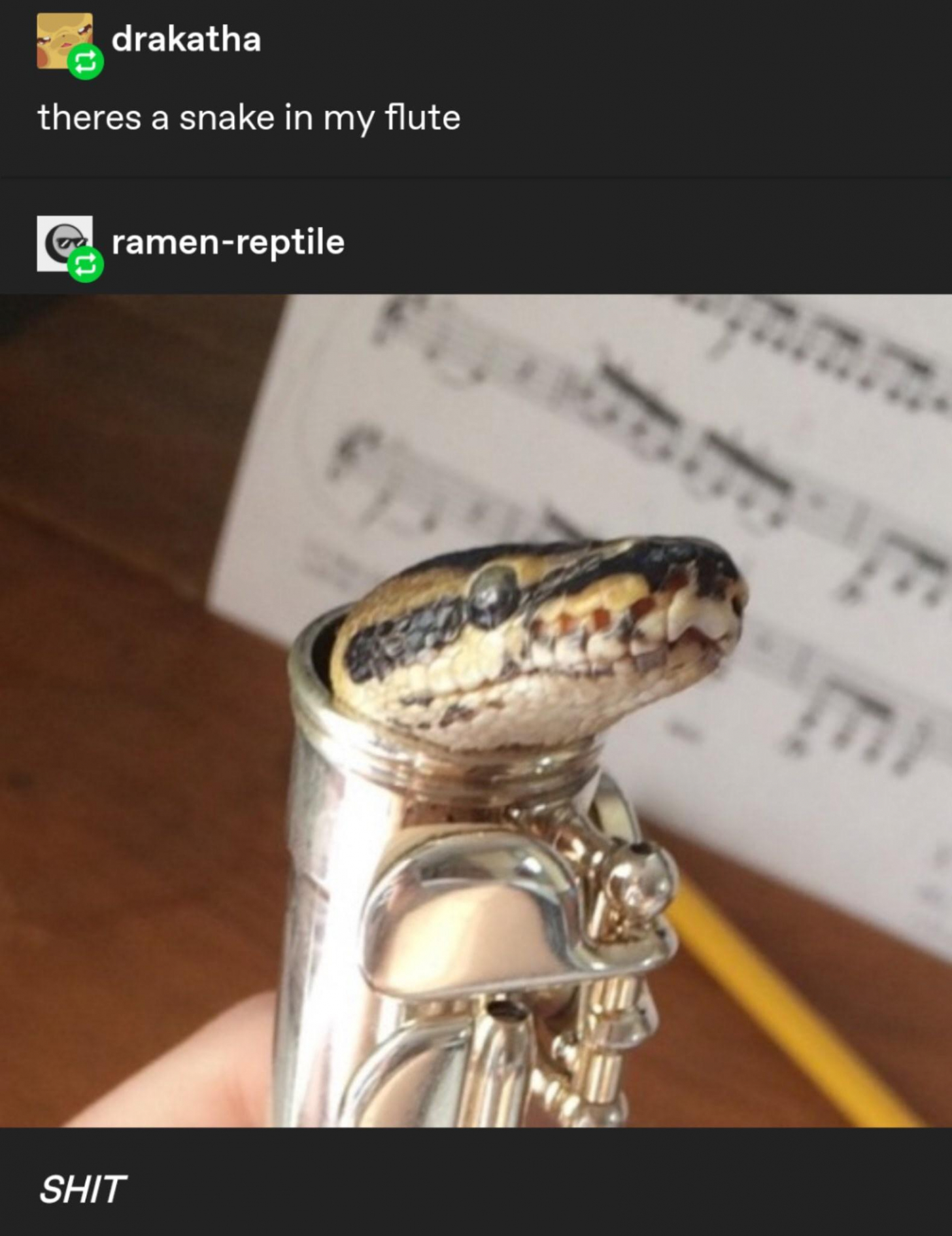 there%26%238217%3Bs+a+snake+in+my+flute