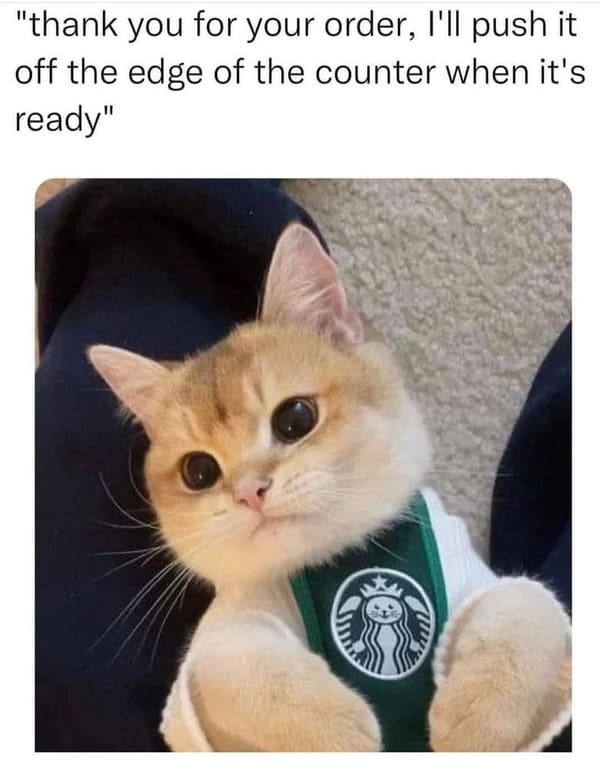 exactly+how+i+ordered+it