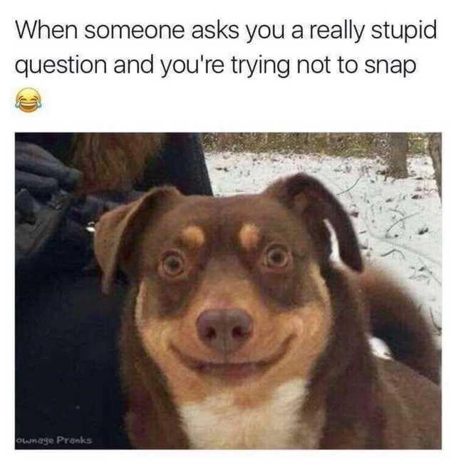 must.+hold.+it.+together