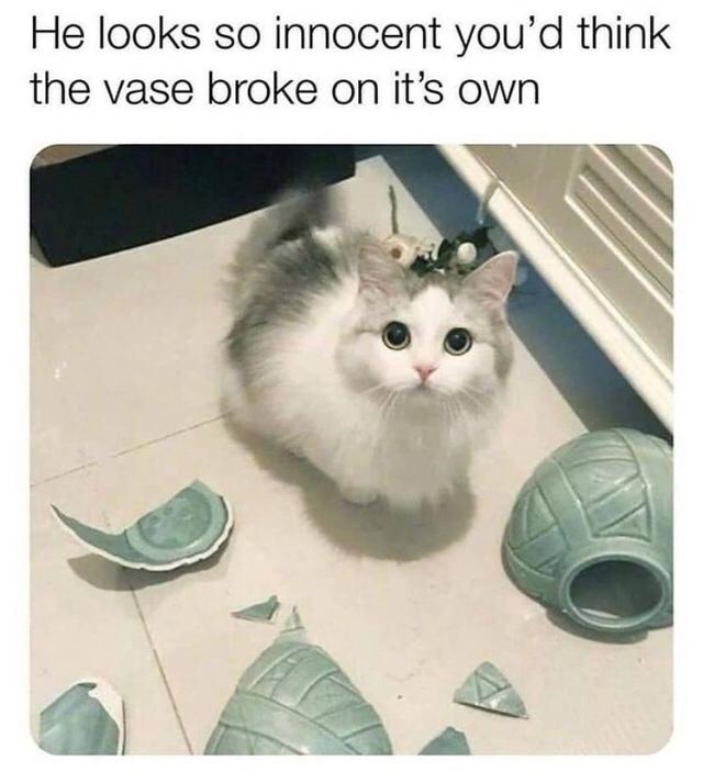 because+it+did+break+on+its+own