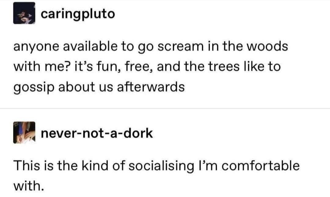 let%26%238217%3Bs+scream+in+the+woods+together