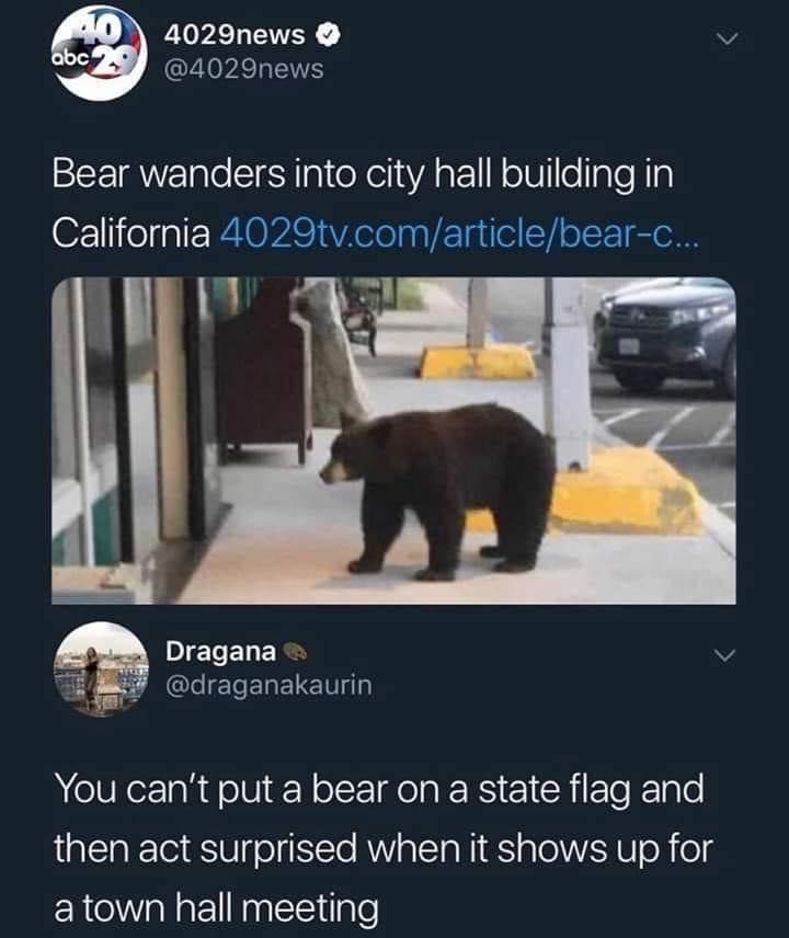 The+bear+has+some+political+interests+to+discuss