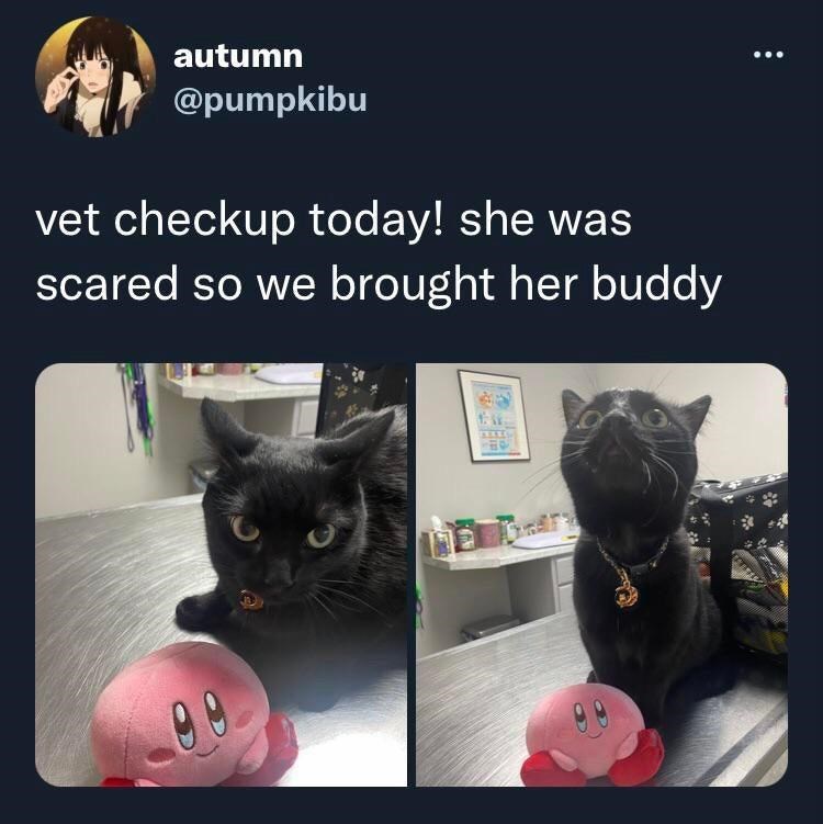 making+the+vet+less+scary