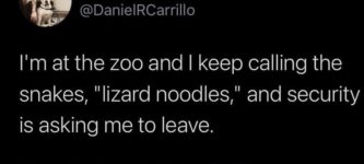 lizard+noodles