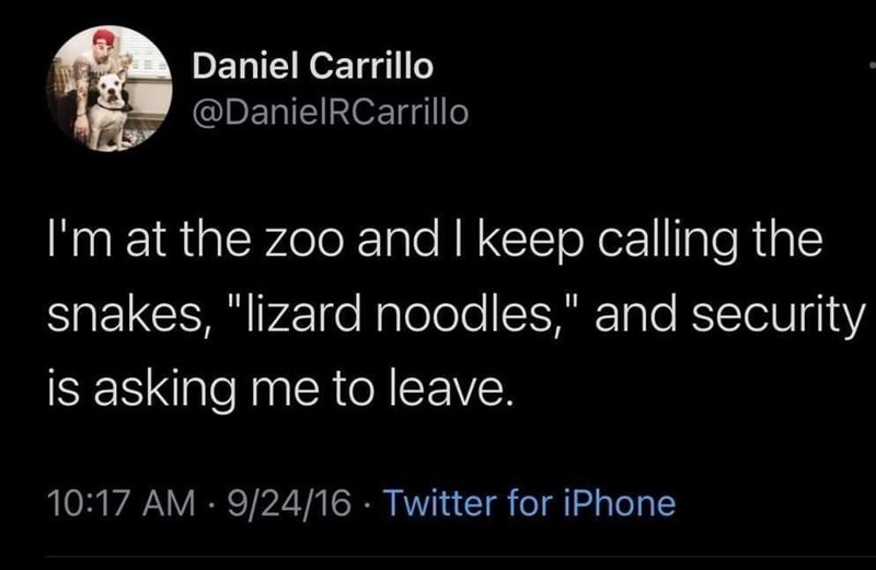 lizard+noodles