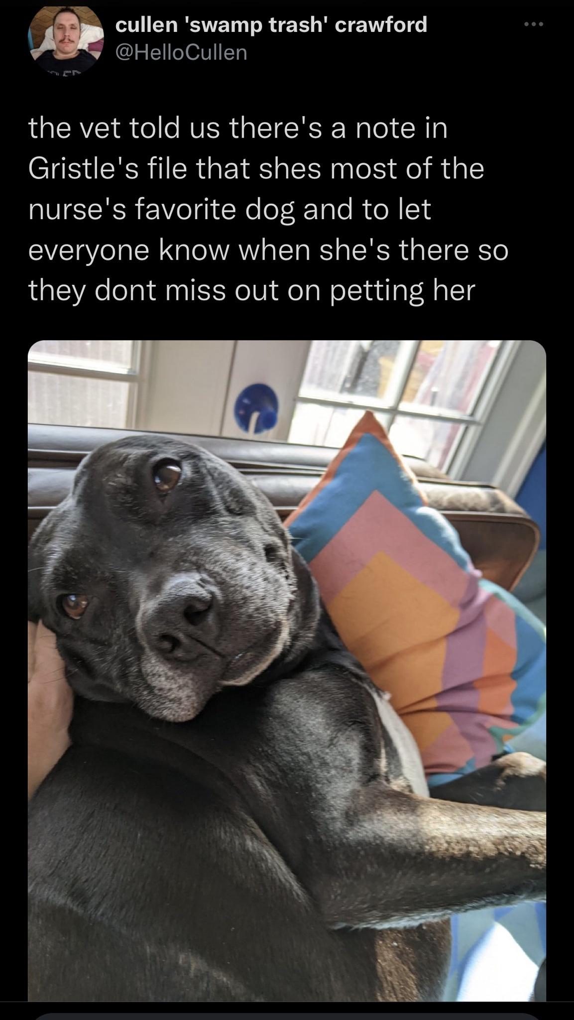 all+the+nurses+favorite