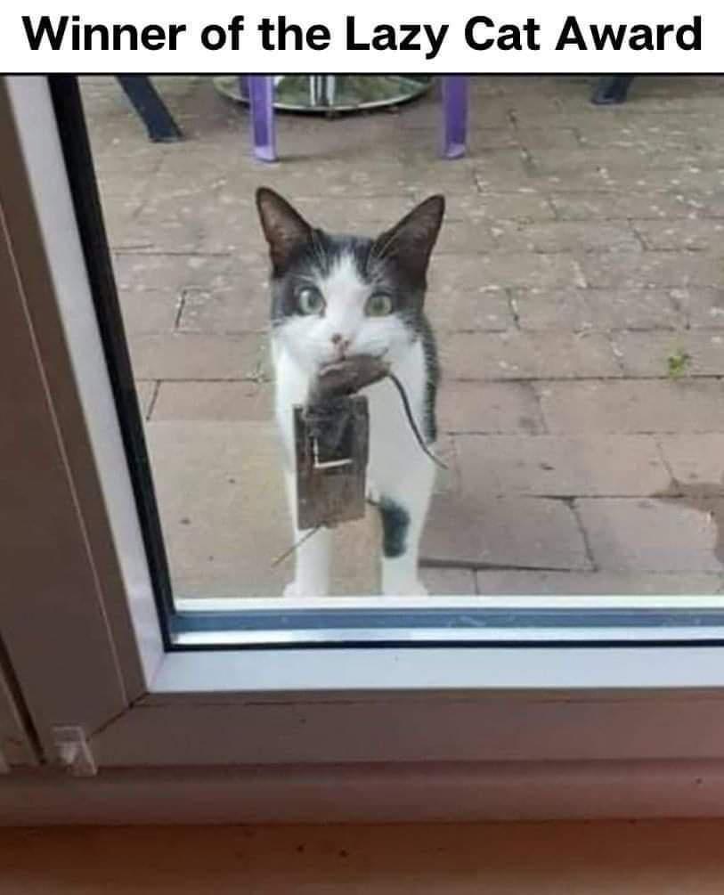 it%26%238217%3Bs+the+thought+that+counts