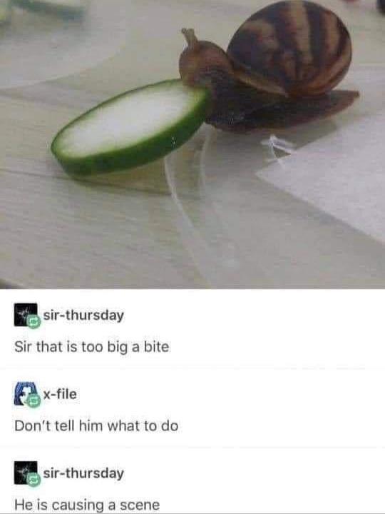 big bite snail
