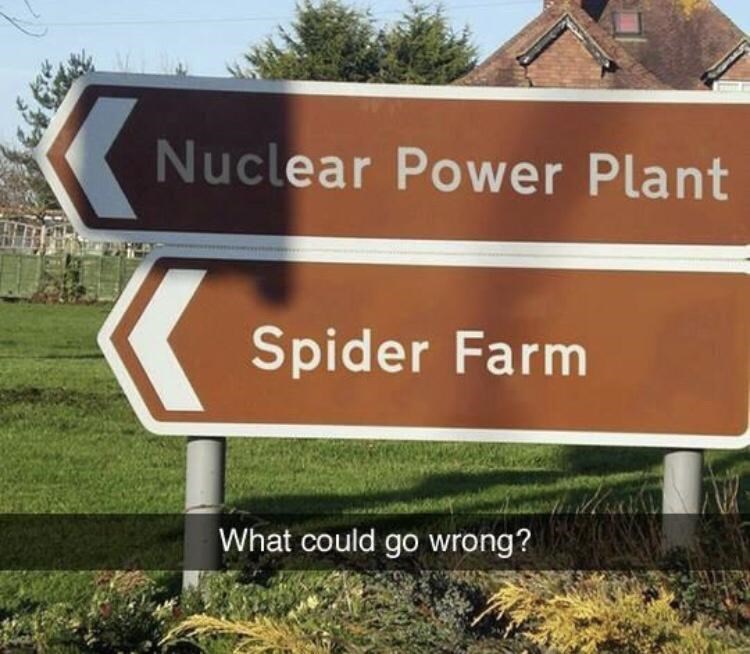 only+good+can+come+of+this