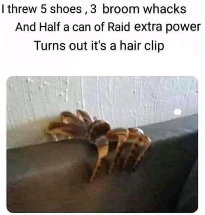 it+was+a+hairclip+the+whole+time