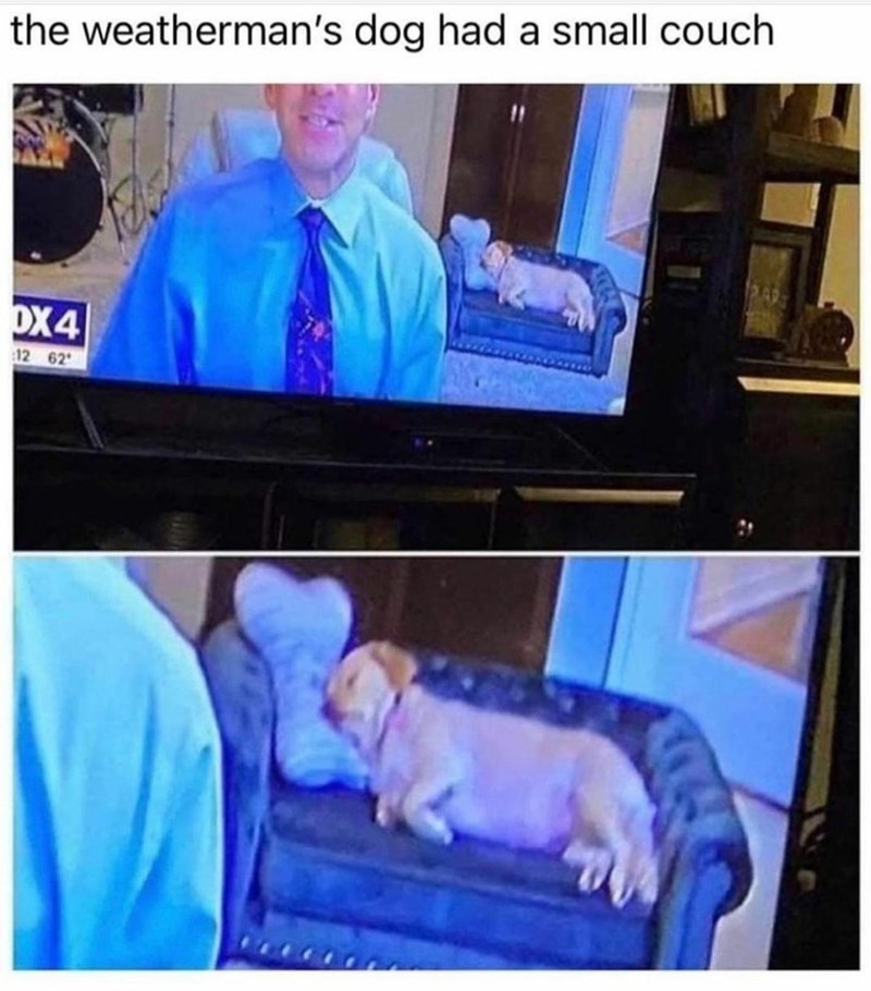 he%26%238217%3Bs+so+cozy%21