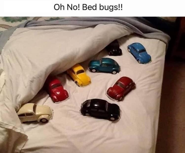 bed+bugs%21