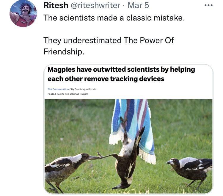 the+power+of+friendship