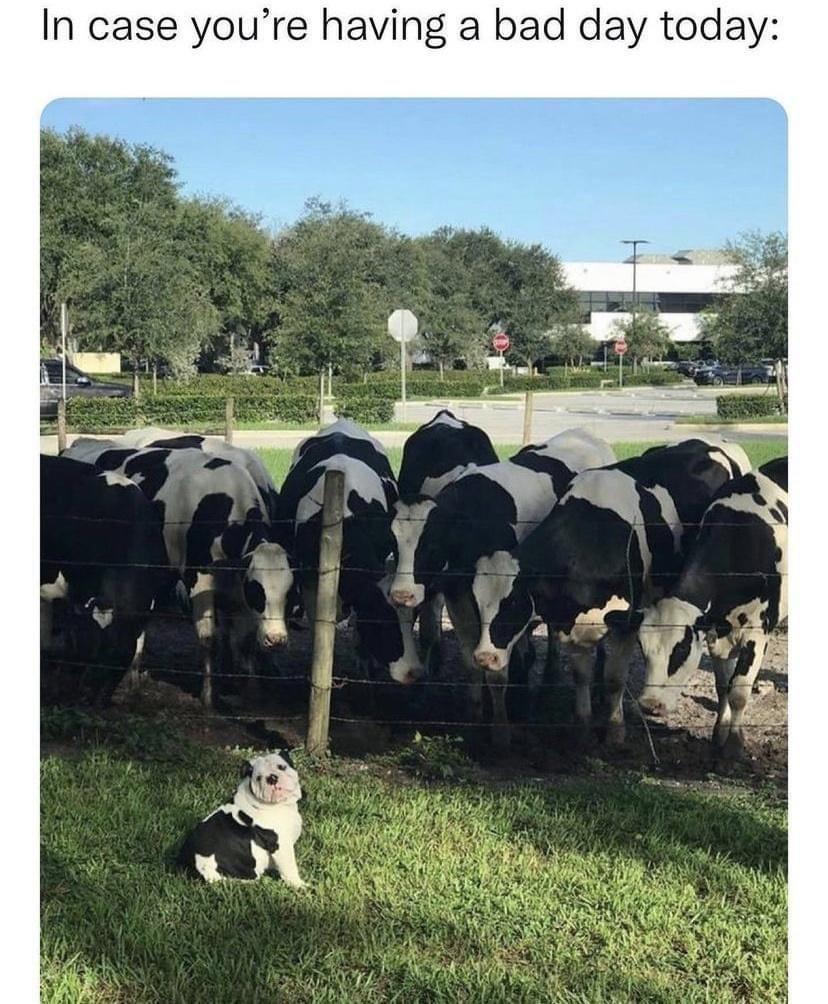 the+lost+child+has+returned