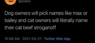 get+over+here%2C+beef+stroganoff%21